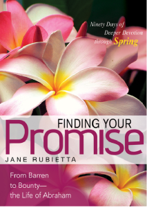 Finding your Promise