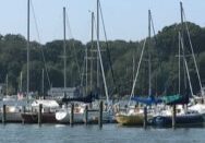 Sailboats docked at a marina on a calm day.